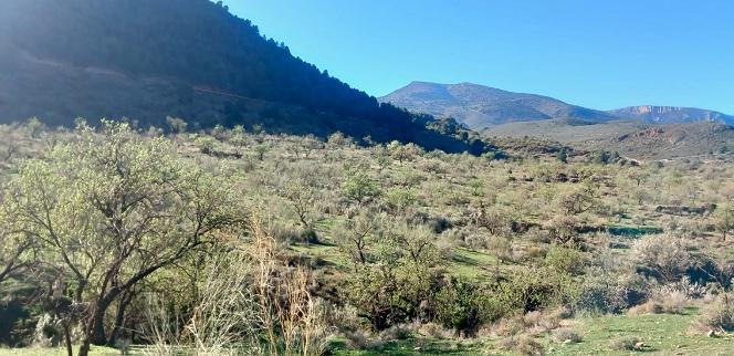 Terrenos de El Enjambre, en Órgiva, donde se ubicará la planta fototoltaica de Disposol.