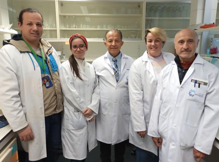 Equipo de investigación que ha realizado el trabajo. 