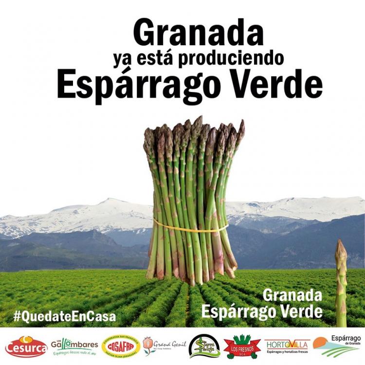 Cartel promocional del esparrago verde granadino. 