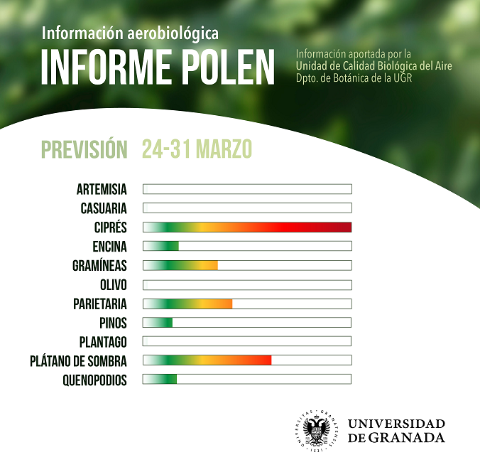 Niveles de polen en Granada.