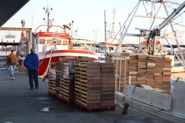 La convocatoria de ayudas a la pesca está ya abierta. 