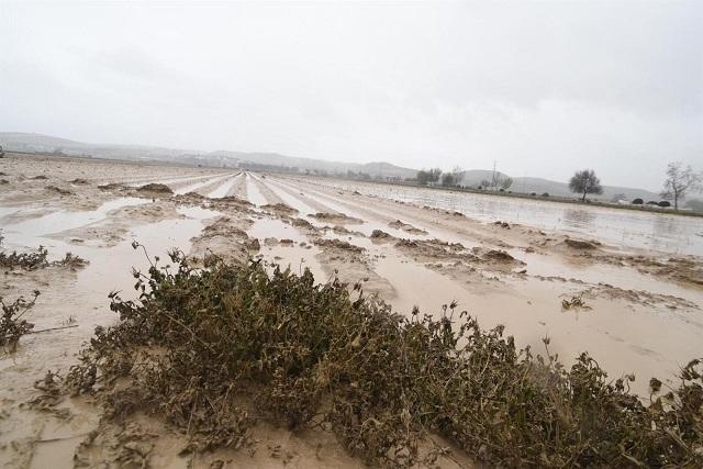 Terrenos agrícolas inundados en la Vega. 