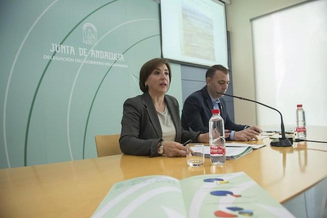 Presentación de la memoria de la Delegación de Agricultura.