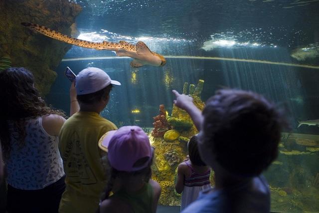 El 18% de visitantes del museo es del extranjero. 