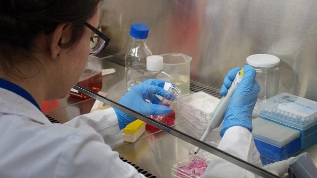 Unas 1.500 personas trabajan en investigación en estos centros Unas 1.500 personas trabajan en investigación en estos centros.