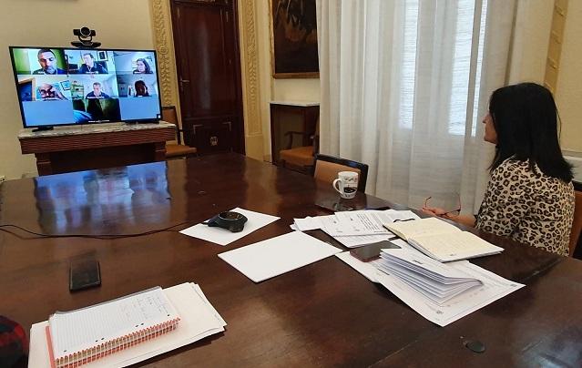La subdelegada, en videoconferencia con miembros de la comisión La subdelegada, en videoconferencia con miembros de la comisión.