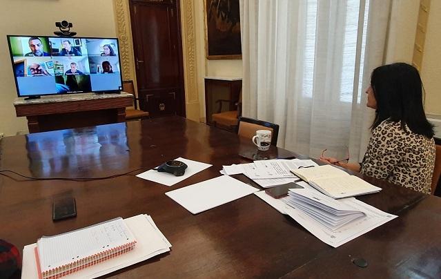 La subdelegada, en videoconferencia con miembros de la comisión.