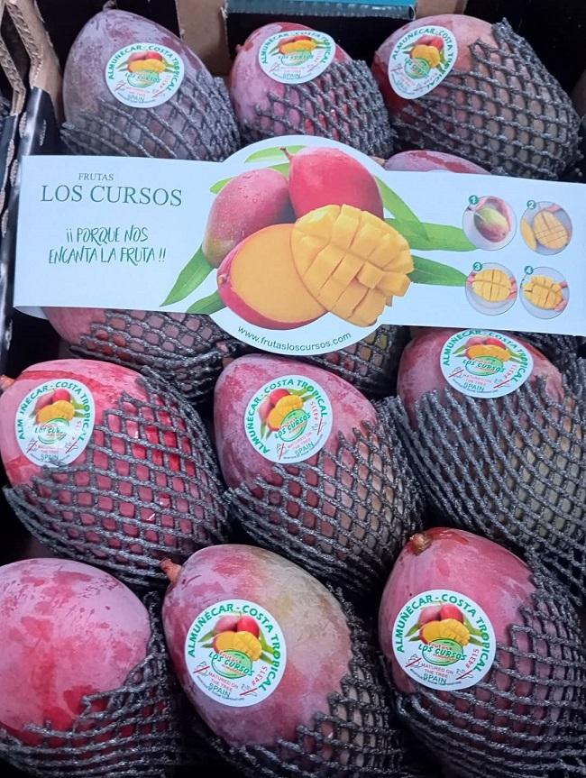 Mangos comercializados por Frutas Los Cursos.