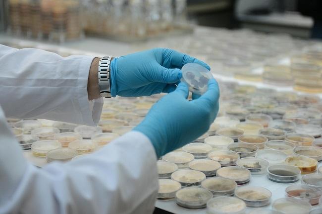 Investigación biomédica en un centro andaluz. Investigación biomédica en un centro andaluz.