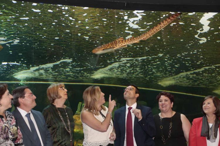 Susana Díaz y el resto de autoridades aprecian uno de los acuarios del Biodomo.