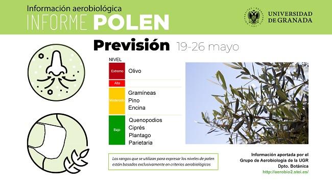 Gráfico semanal del Informe Polen.