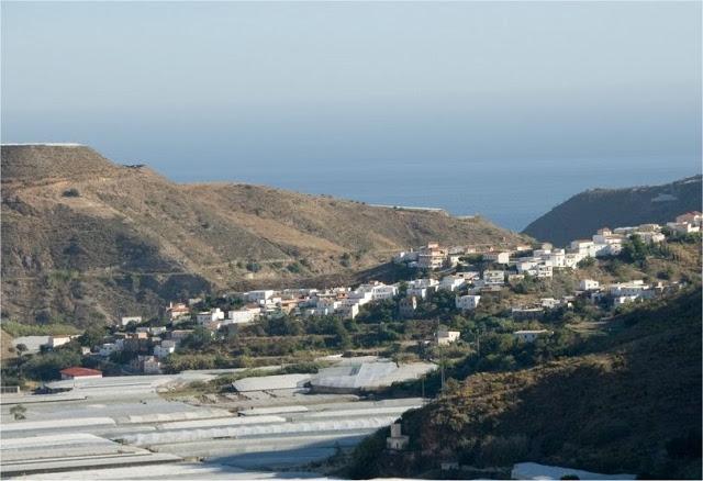 Invernaderos en Albuñol.