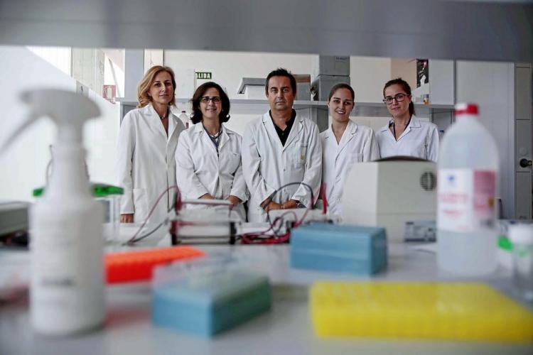 Equipo de investigadores de la UGR.