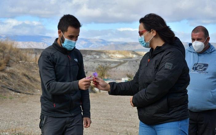 Raúl Sánchez entrega una flor de azafrán a María José Martín. 