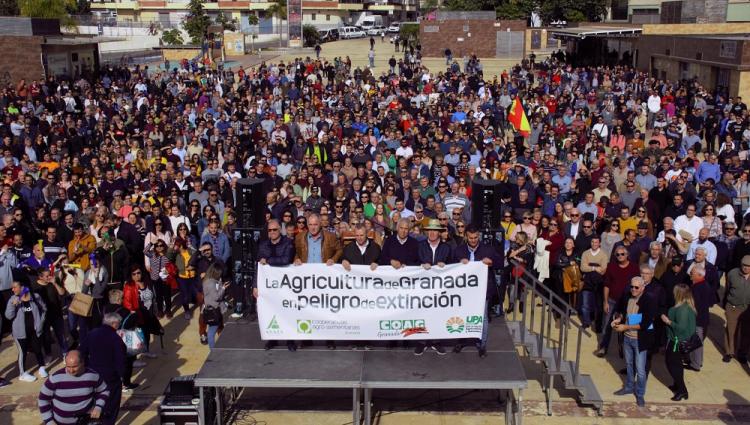 Al término de la marcha se ha leído un manifiesto en defensa del sector hortofrutícola.