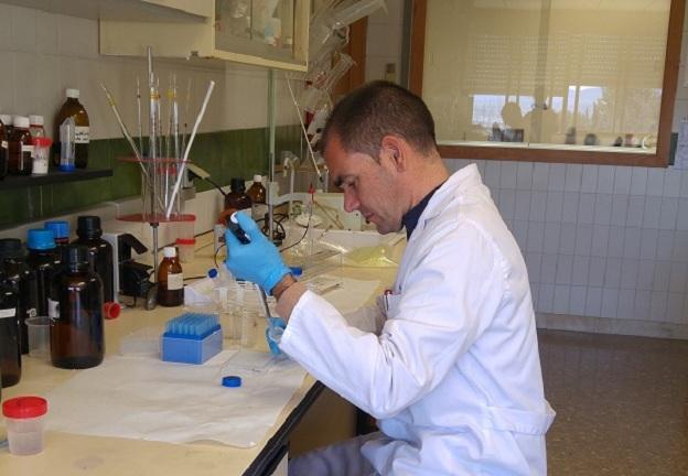 El investigador José Ángel Rufián-Henares.