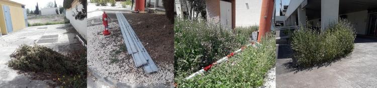 Basura y abandono de jardines en los exteriores de la terminal. 