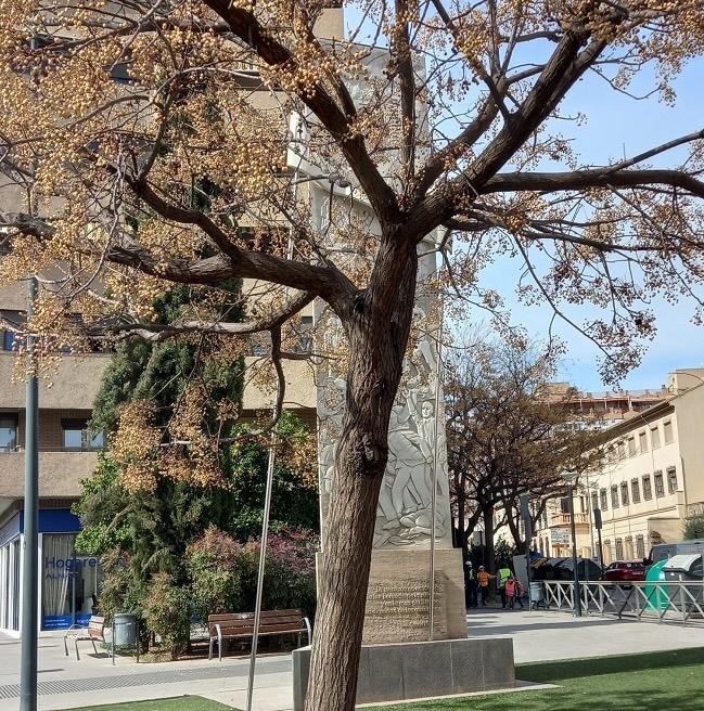 El monumento memorialista, tapado por los árboles.