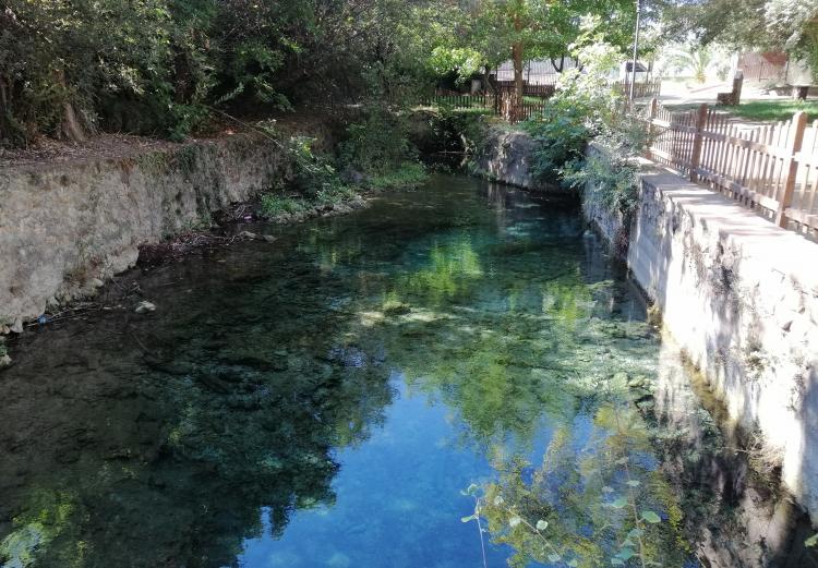 Nacimiento de Deifontes, principal fuente de abastacimiento de 22 municipios metropolitanos.