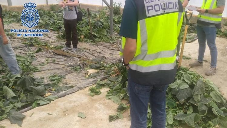 Agentes en una  de las fincas donde se explotaba a los migrantes. 