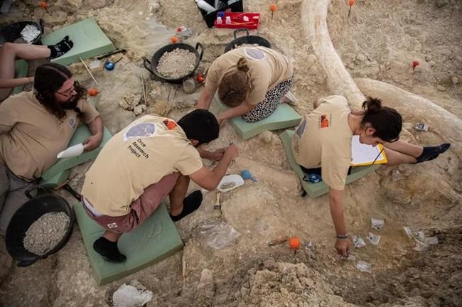 Investigadores, sobe uno de los yacimientos de Orce.