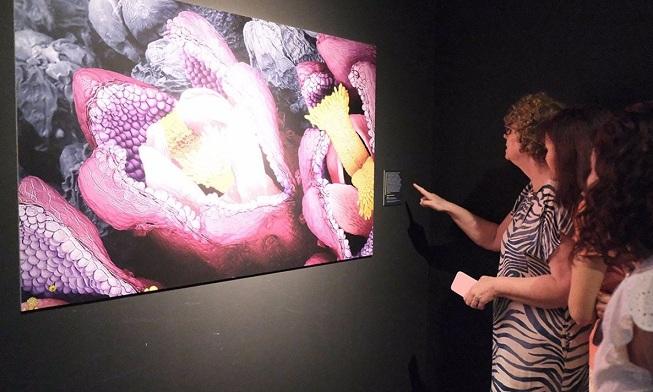 Una de las imágenes incluidas en la exposición 'Invisible. La naturaleza imperceptible'.