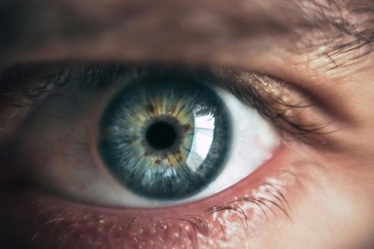 Detalle de un ojo humano.