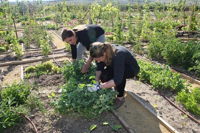 El paro en la agricultura granadina subió en 166 personas en febrero.