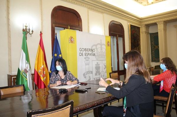 Reunión celebrada, por videoconferencia, con la subdelegada del Gobierno.