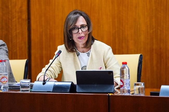 Rocío Díaz en comisión parlamentaria. 