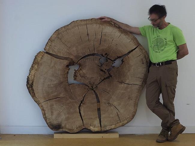 Rodaja gigante del tronco de un árbol.