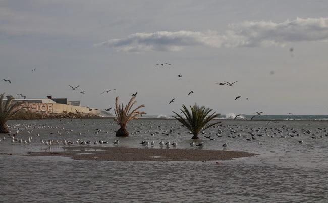 Aspecto de las playas de Motril tras uno de los temporales de este invierno.