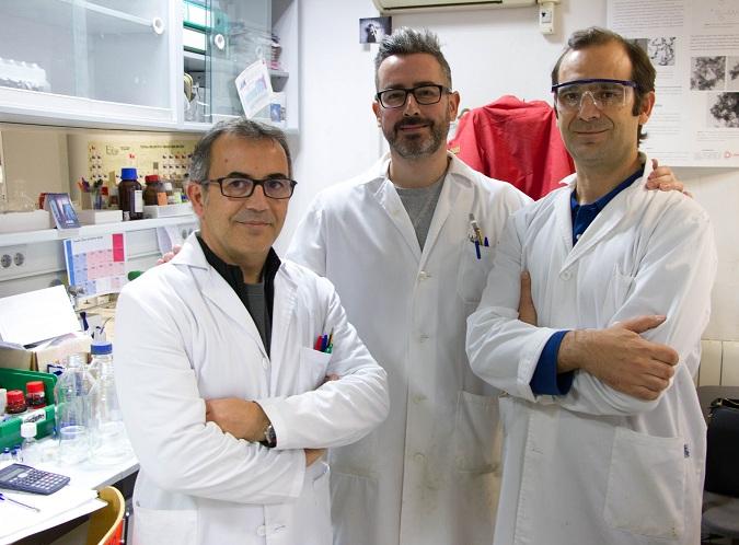 Investigadores que han desarrollado este trabajo Investigadores que han desarrollado este trabajo.