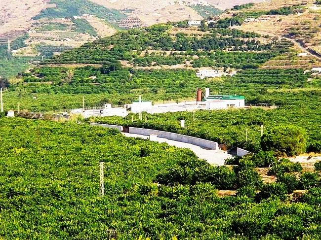 Vega del río Verde y depuradora EDAR de Almuñécar. 