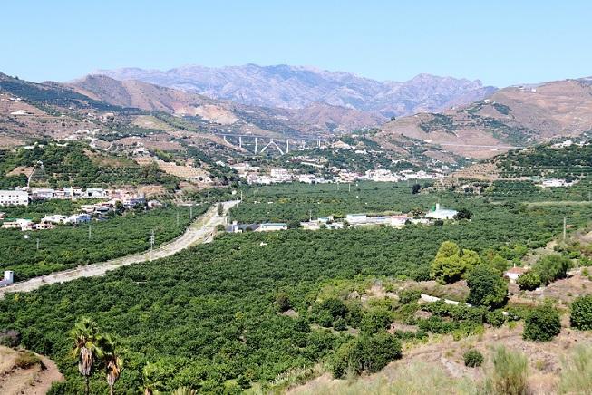 Río verde, a su paso por la vega de Almuñécar. 