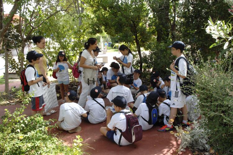 Actividades del verano pasado.