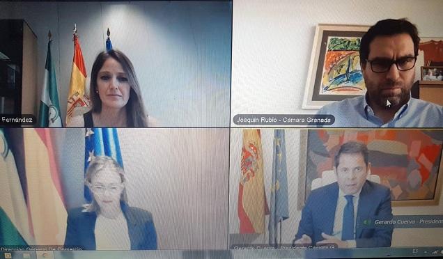 Webinar entre responsables de la Junta y la Cámara de Comercio de Granada Webinar entre responsables de la Junta y la Cámara de Comercio de Granada