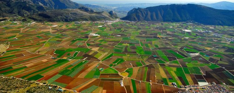 El Llano de Zafarraya, la mayor huerta de la provincia. 