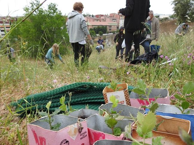 Imagen de la plantación organizada por  'Fridays for Future'.