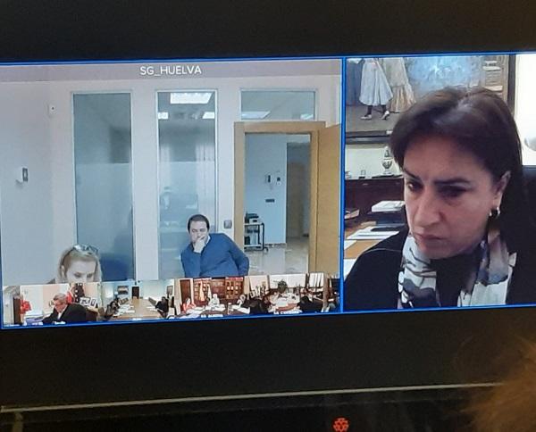 Imagen de la reunión, vía digital, de coordinación. Imagen de la reunión, vía digital, de coordinación.