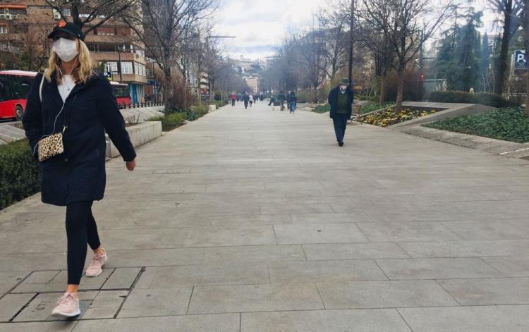 Viandantes en la Avenida de la Constitución.