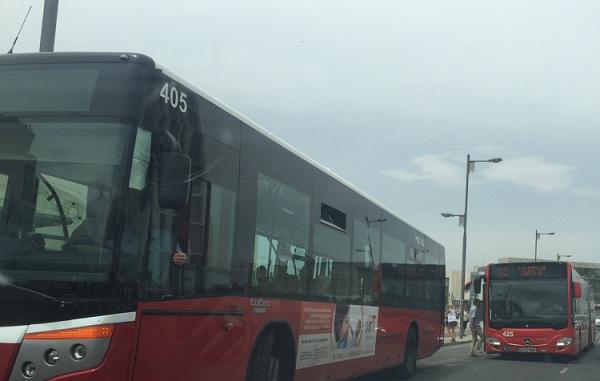 Autobuses en la capital.