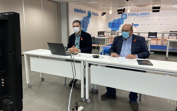Carlos Rojas y José Robles, en la sede del PP, durante el encuentro telemático.