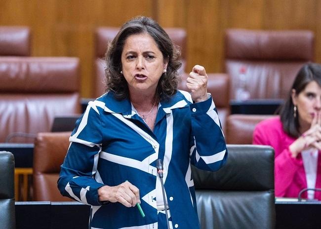 Catalina García en el Parlamento.