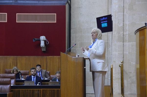 Celia Santiago, en el Parlamento.