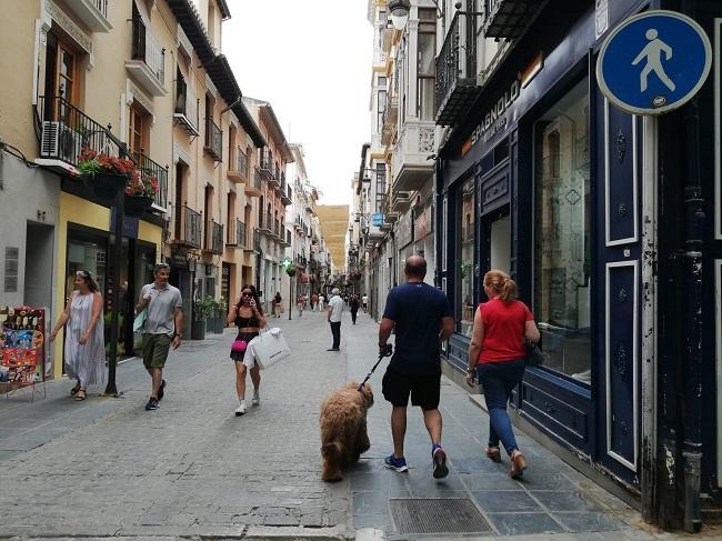 Calle Mesones, en plena zona comercial de la capital granadina.