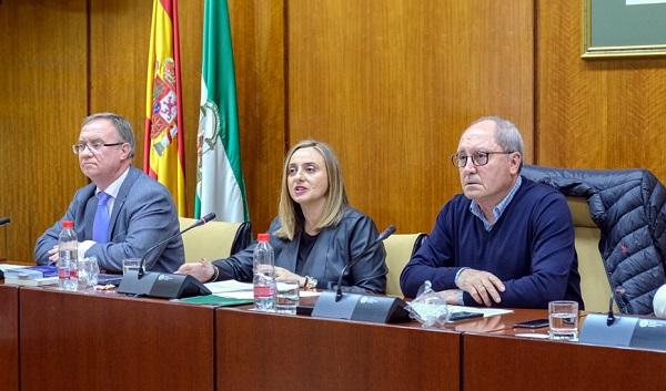 Marifrán Carazo durante su comparecencia.