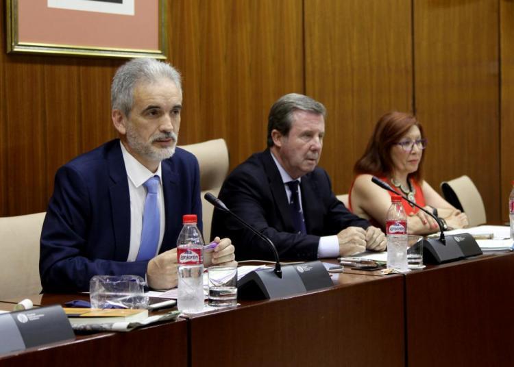 Aquilino Alonso, en una comparecencia en el Parlamento.