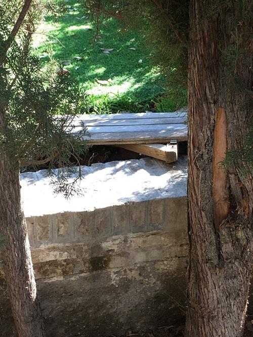 El PP critica la imagen de "dejadez" de los jardines. El PP critica la imagen de "dejadez" de los jardines.