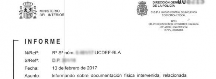 Detalle del informe de la UDEF.